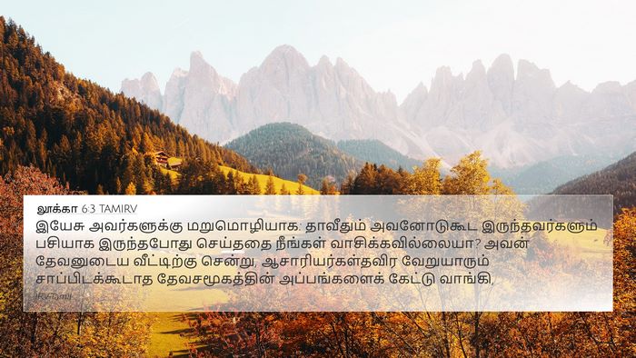 லூக்கா 6:3 TAMIRV Bible Verse Image