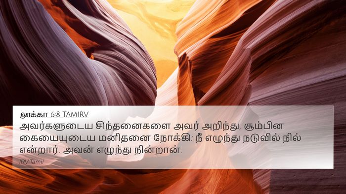 லூக்கா 6:8 TAMIRV Bible Verse Image