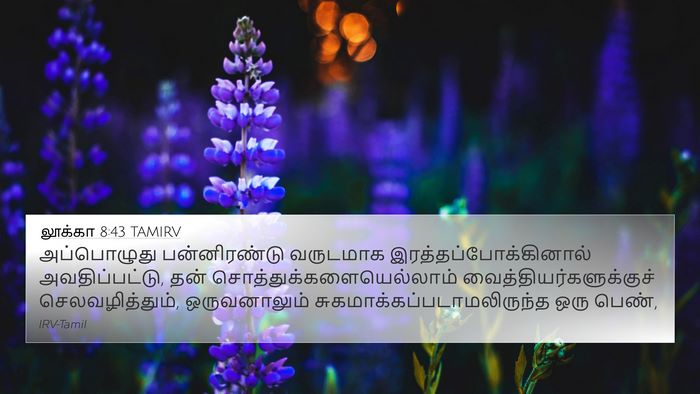 லூக்கா 8:43 TAMIRV Bible Verse Image