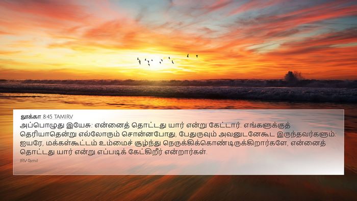 லூக்கா 8:45 TAMIRV Bible Verse Image