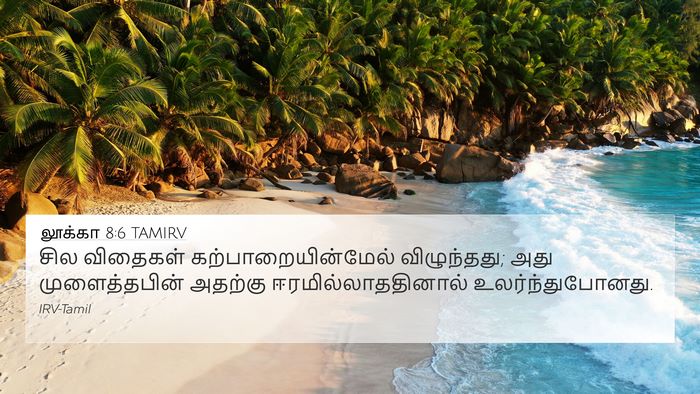 லூக்கா 8:6 TAMIRV Bible Verse Image