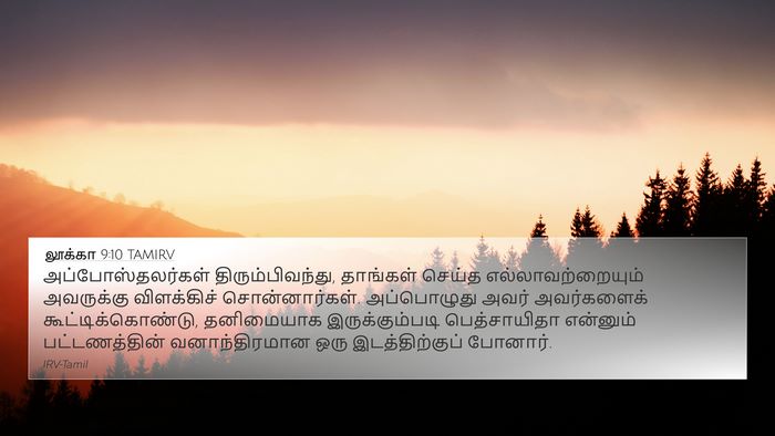 லூக்கா 9:10 TAMIRV Bible Verse Image