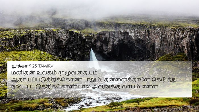 லூக்கா 9:25 TAMIRV Bible Verse Image