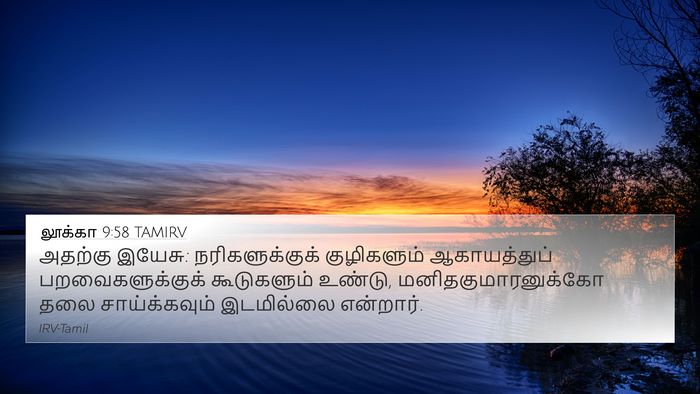 லூக்கா 9:58 TAMIRV Bible Verse Image