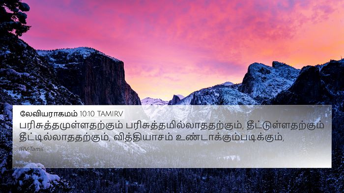 லேவியராகமம் 10:10 TAMIRV Bible Verse Image
