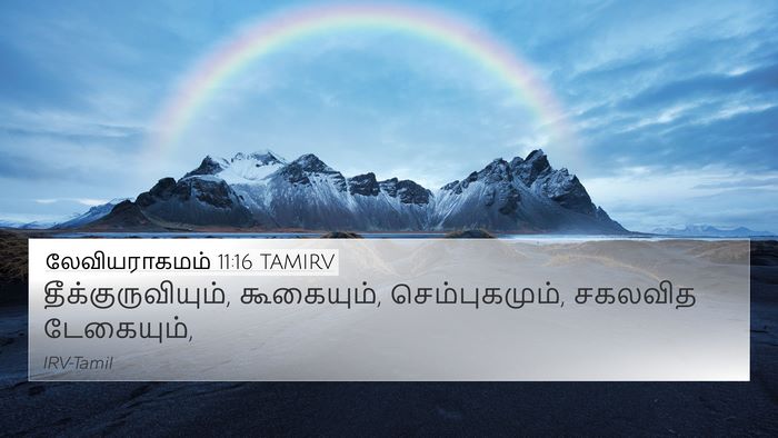 லேவியராகமம் 11:16 TAMIRV 4K Wallpaper - தீக்குருவியும், - 4K Wallpaper Bible Verse