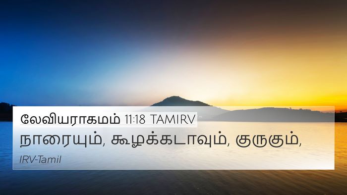 லேவியராகமம் 11:18 TAMIRV 4K Wallpaper - நாரையும், - 4K Wallpaper Bible Verse
