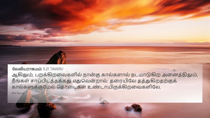 லேவியராகமம் 11:21 TAMIRV 4K Wallpaper - ஆகிலும், - 4K Wallpaper Bible Verse