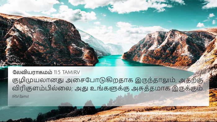 லேவியராகமம் 11:5 TAMIRV Bible Verse Image