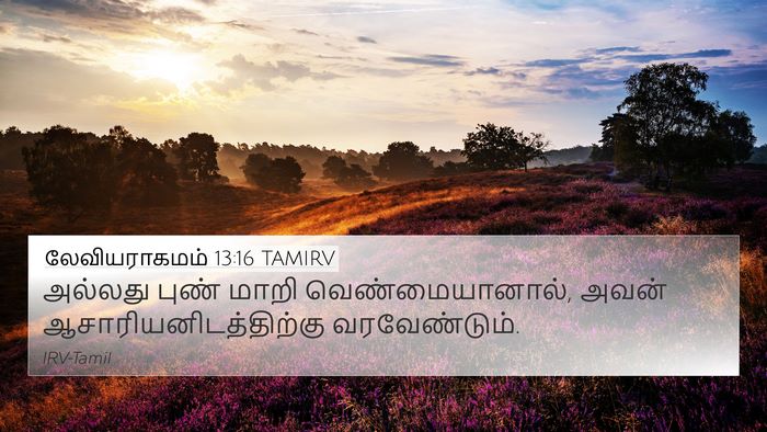 லேவியராகமம் 13:16 TAMIRV 4K Wallpaper - அல்லது புண் மாறி - 4K Wallpaper Bible Verse