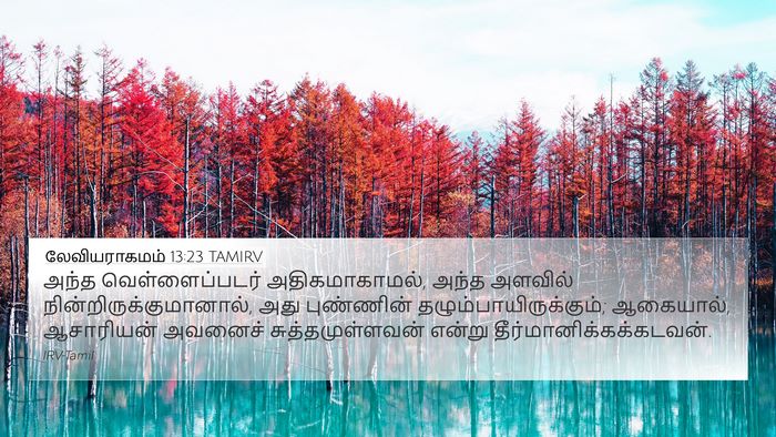 லேவியராகமம் 13:23 TAMIRV Bible Verse Image