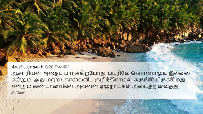 லேவியராகமம் 13:26 TAMIRV 4K Wallpaper - ஆசாரியன் அதைப் - 4K Wallpaper Bible Verse
