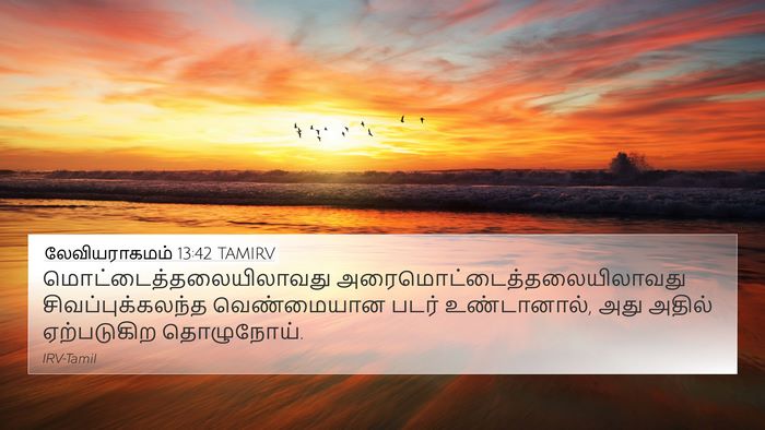 லேவியராகமம் 13:42 TAMIRV 4K Wallpaper -  - 4K Wallpaper Bible Verse