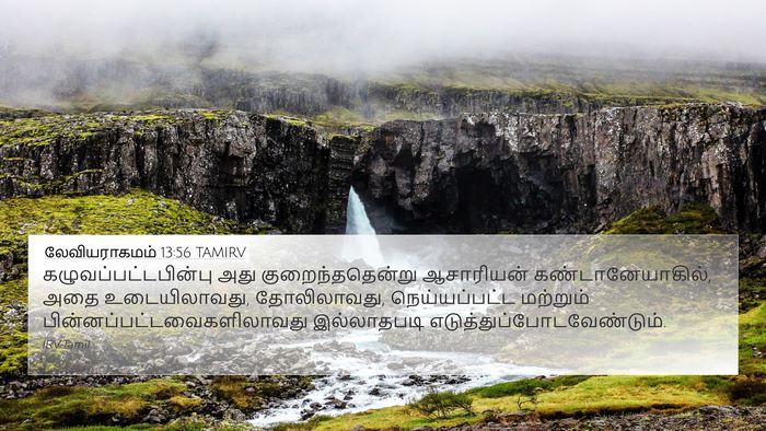 லேவியராகமம் 13:56 TAMIRV 4K Wallpaper - கழுவப்பட்டபின்பு - 4K Wallpaper Bible Verse