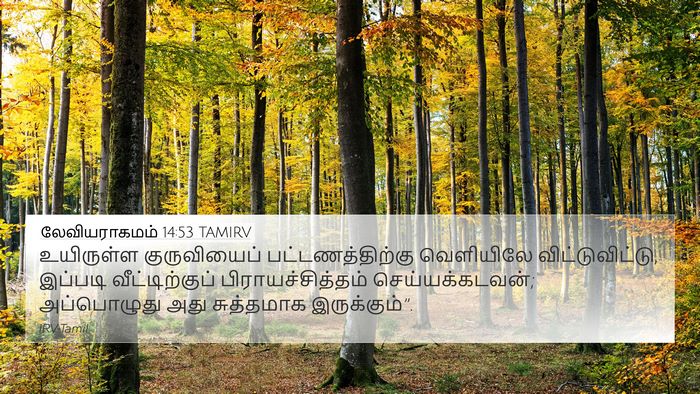 லேவியராகமம் 14:53 TAMIRV 4K Wallpaper - உயிருள்ள - 4K Wallpaper Bible Verse