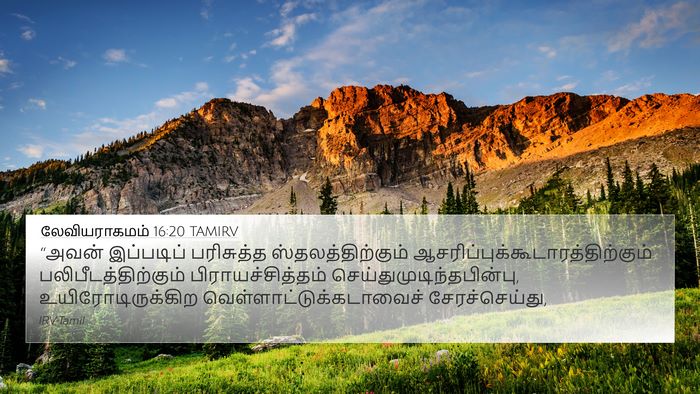 லேவியராகமம் 16:20 TAMIRV 4K Wallpaper - “அவன் இப்படிப் - 4K Wallpaper Bible Verse
