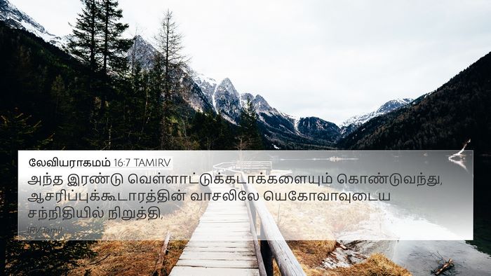 லேவியராகமம் 16:7 TAMIRV 4K Wallpaper - அந்த இரண்டு - 4K Wallpaper Bible Verse