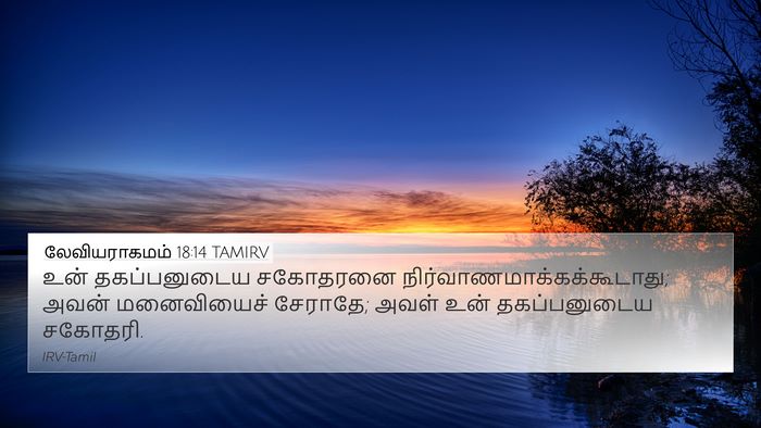 லேவியராகமம் 18:14 TAMIRV Bible Verse Image