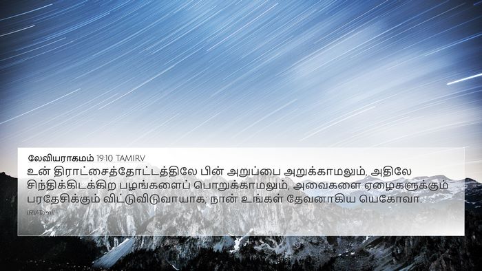 லேவியராகமம் 19:10 TAMIRV 4K Wallpaper - உன் - 4K Wallpaper Bible Verse