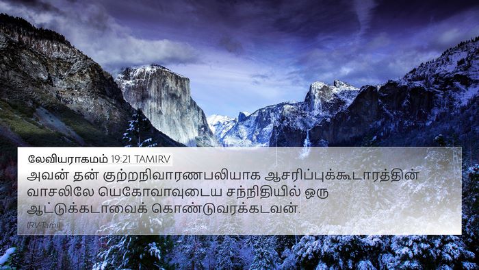 லேவியராகமம் 19:21 TAMIRV 4K Wallpaper - அவன் தன் - 4K Wallpaper Bible Verse