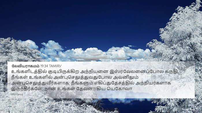 லேவியராகமம் 19:34 TAMIRV Bible Verse Image