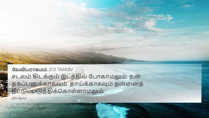 லேவியராகமம் 21:11 TAMIRV Bible Verse Image
