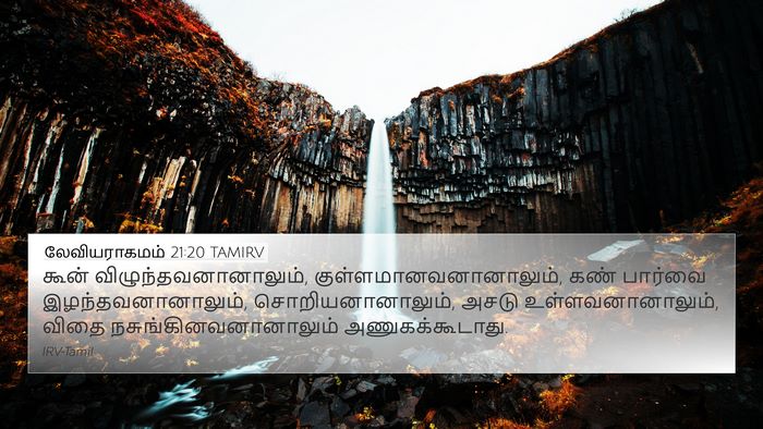 லேவியராகமம் 21:20 TAMIRV Bible Verse Image