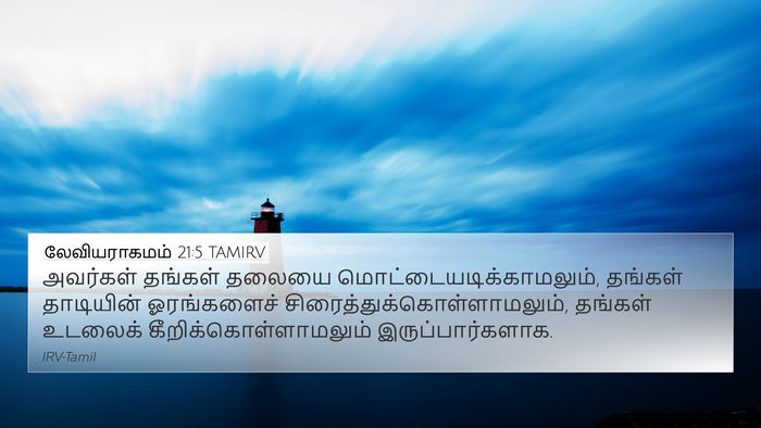 லேவியராகமம் 21:5 TAMIRV Bible Verse Image