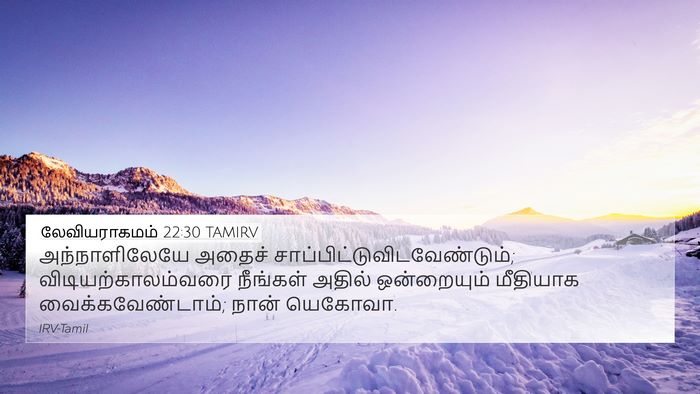 லேவியராகமம் 22:30 TAMIRV Bible Verse Image