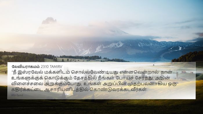 லேவியராகமம் 23:10 TAMIRV Bible Verse Image