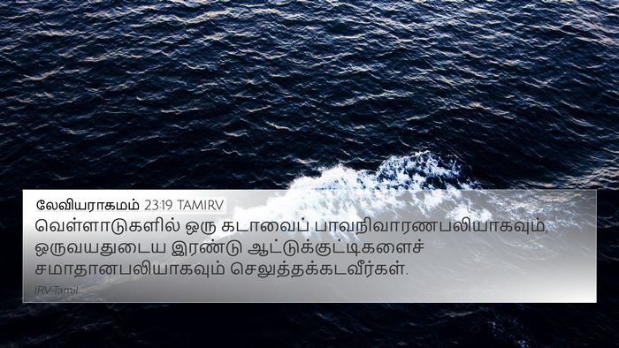 லேவியராகமம் 23:19 TAMIRV 4K Wallpaper - வெள்ளாடுகளில் ஒரு - 4K Wallpaper Bible Verse