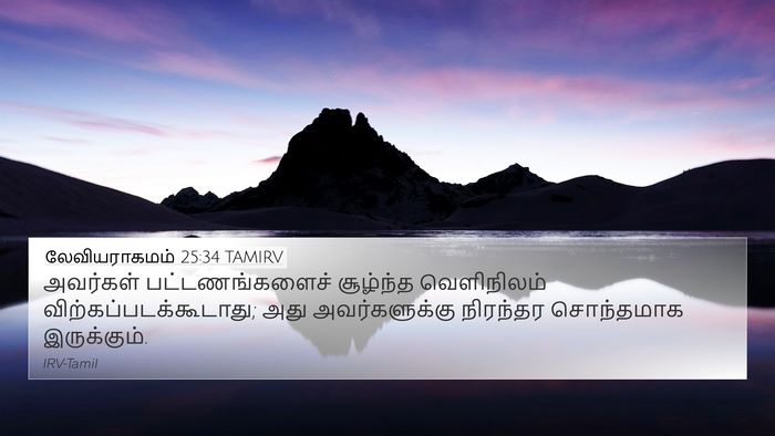 லேவியராகமம் 25:34 TAMIRV Bible Verse Image