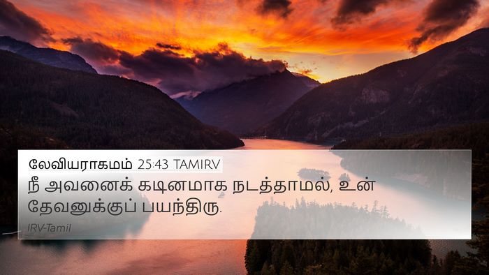 லேவியராகமம் 25:43 TAMIRV Bible Verse Image