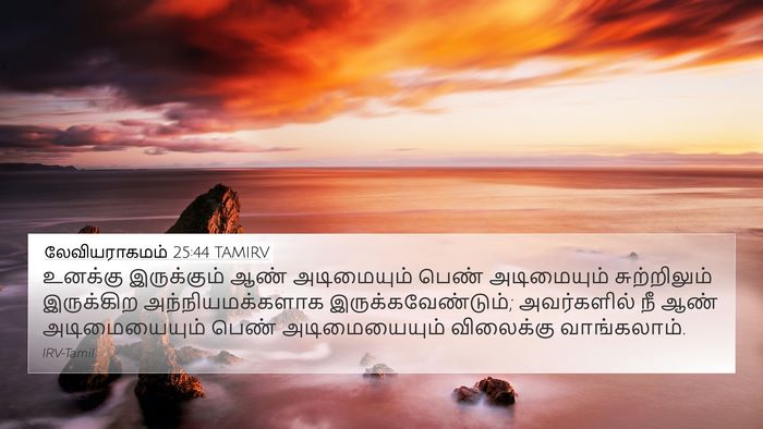 லேவியராகமம் 25:44 TAMIRV Bible Verse Image