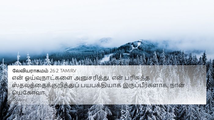 லேவியராகமம் 26:2 TAMIRV Bible Verse Image