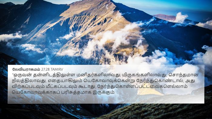 லேவியராகமம் 27:28 TAMIRV Bible Verse Image