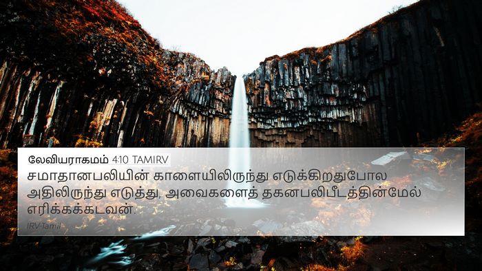 லேவியராகமம் 4:10 TAMIRV 4K Wallpaper - சமாதானபலியின் - 4K Wallpaper Bible Verse