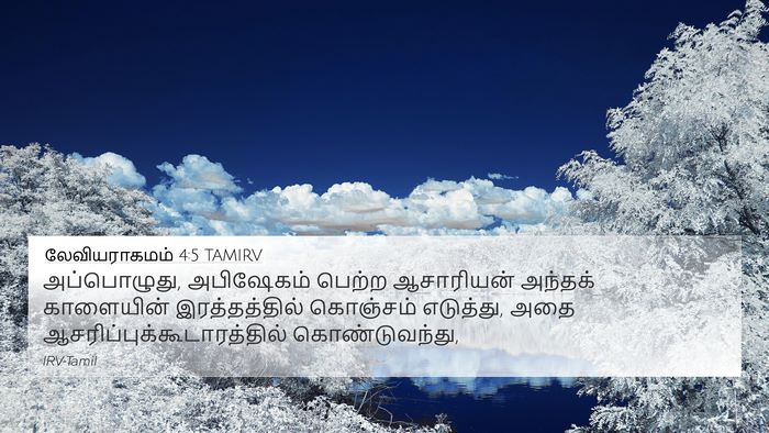 லேவியராகமம் 4:5 TAMIRV Bible Verse Image