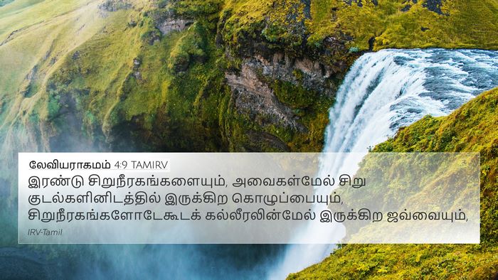 லேவியராகமம் 4:9 TAMIRV Bible Verse Image
