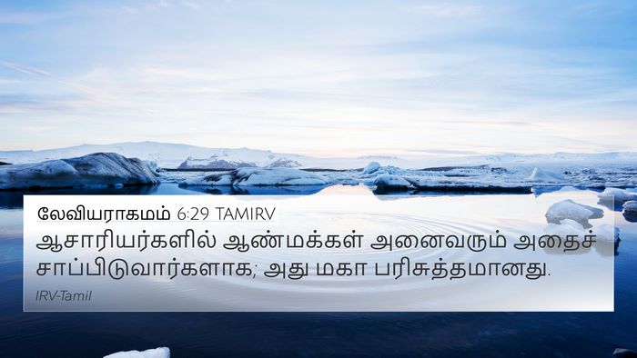 லேவியராகமம் 6:29 TAMIRV Bible Verse Image
