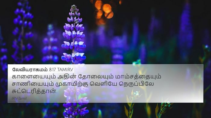 லேவியராகமம் 8:17 TAMIRV Bible Verse Image