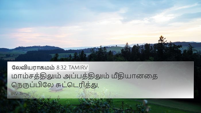 லேவியராகமம் 8:32 TAMIRV 4K Wallpaper - மாம்சத்திலும் - 4K Wallpaper Bible Verse