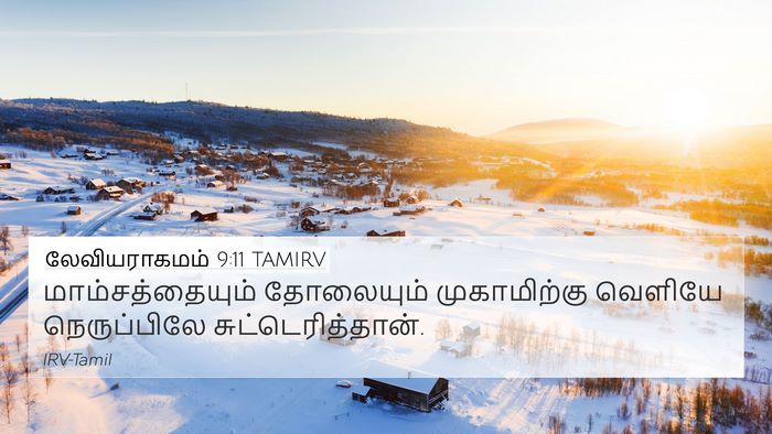 லேவியராகமம் 9:11 TAMIRV 4K Wallpaper - மாம்சத்தையும் - 4K Wallpaper Bible Verse