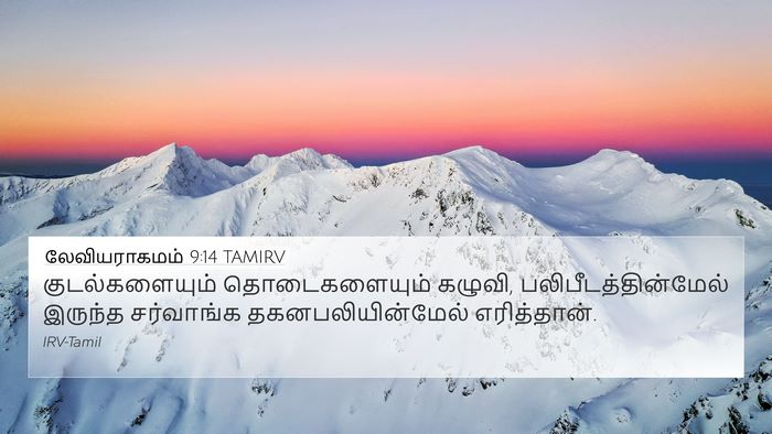 லேவியராகமம் 9:14 TAMIRV 4K Wallpaper - குடல்களையும் - 4K Wallpaper Bible Verse