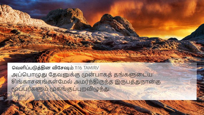 வெளிப்படுத்தின விசேஷம் 11:16 TAMIRV Bible Verse Image