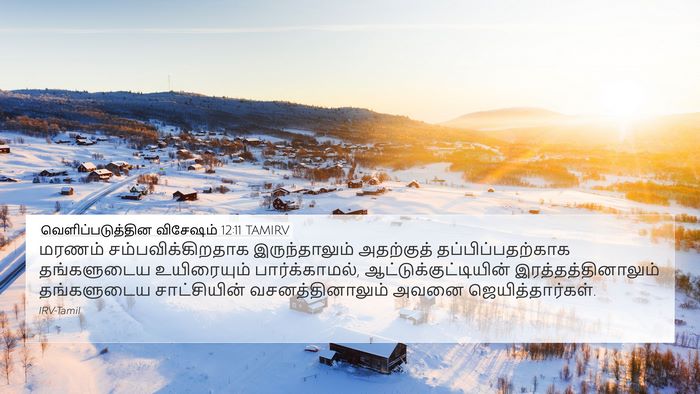 வெளிப்படுத்தின விசேஷம் 12:11 TAMIRV Bible Verse Image