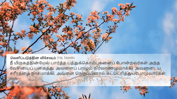 வெளிப்படுத்தின விசேஷம் 17:16 TAMIRV Bible Verse Image