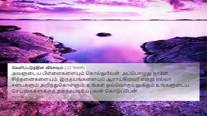 வெளிப்படுத்தின விசேஷம் 2:23 TAMIRV Bible Verse Image