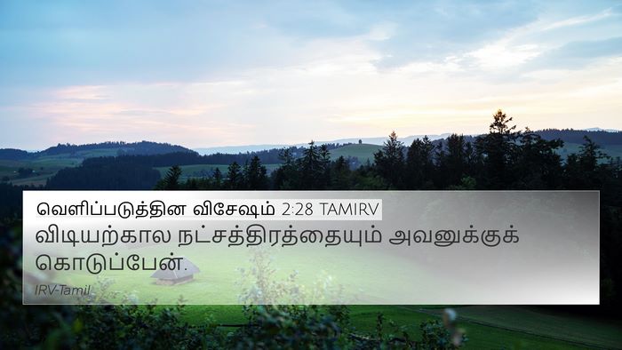 வெளிப்படுத்தின விசேஷம் 2:28 TAMIRV 4K Wallpaper - விடியற்கால - 4K Wallpaper Bible Verse