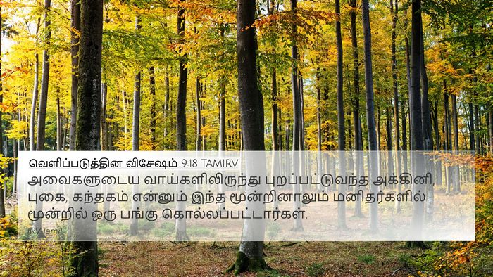 வெளிப்படுத்தின விசேஷம் 9:18 TAMIRV Bible Verse Image